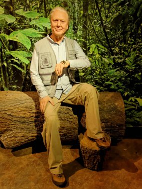 BLACKPOOL, JANUARY 14: Madame Tussauds Blackpool, UK 2018. Wax figure of Sir David Frederick Attenborough is an English broadcaster and naturalist, writing and presenting,  BBC Natural History Unit. clipart