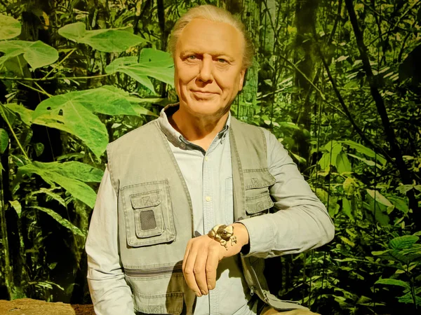 Blackpool, 14 Ocak: Madame Tussauds Blackpool, İngiltere'de 2018. Balmumu Sir David Frederick Attenborough bir İngiliz yayın kuruluşu ve yazma ve sunma doğa bilimci, bir rakamdır,