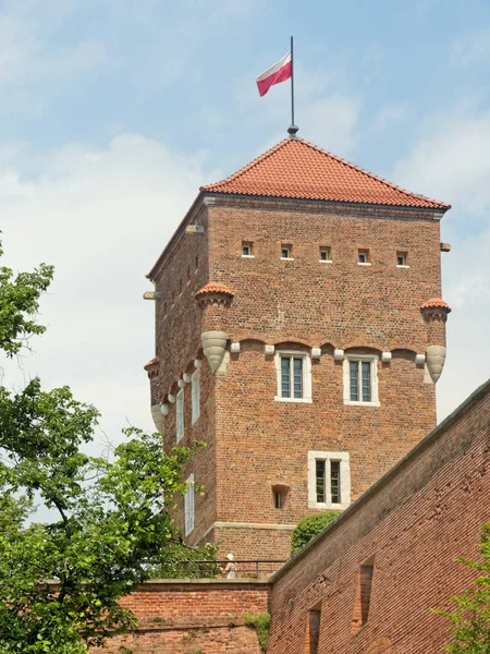 Krakow Mayo Castillo Real Wawel Polonia 2018 Ladrones Torre Con — Foto de Stock