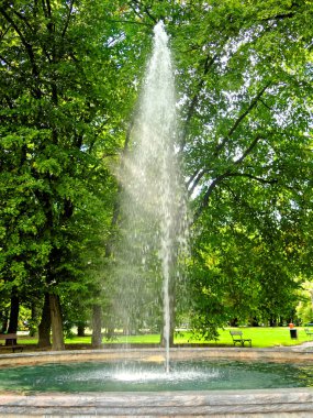 Güneş ışınları bir şehir parkı ağaçların arasına gizlenen Çeşme aydınlatmak.
