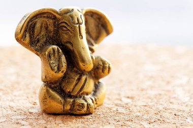 Lord Ganesha Hindu Tanrı