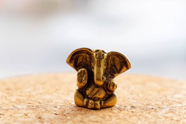 Lord Ganesha Hindu Tanrı