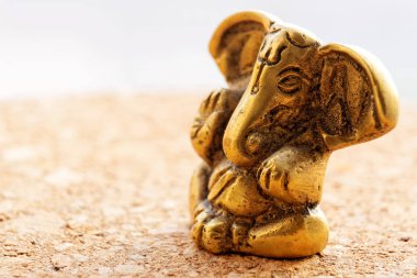 Lord Ganesha Hindu Tanrı