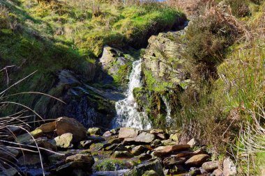 Snowdonia dağlarında bir şelale Springtime görünümü.