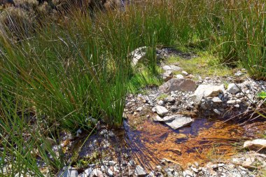 Snowdonia Dağları kaynak.