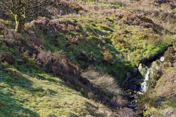 Lente uitzicht op een waterval in de bergen van Snowdonia. — Stockfoto