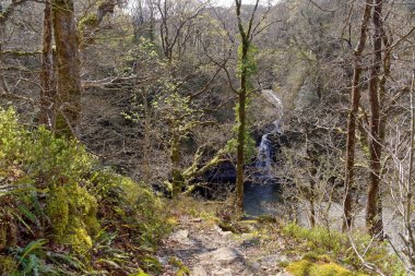 Snowdonia, Galler Dağları 'nda bir turist yolu üzerinde bir şelale görünümü.