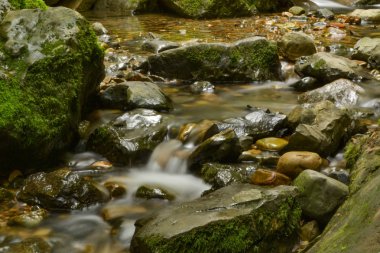 Cantabria, Churrn de Borlea, şelale bir bulutlu bahar günde