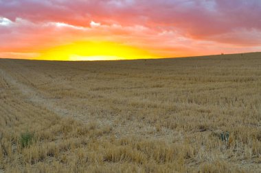 Alanları fırtınalı gün batımı