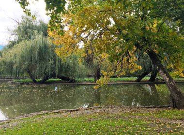 Sonbahar, yeşillik, ağaç, günlük, gökyüzü, bulutlar, kilise, Şapel, öğleden sonra öğle vakti, seyahat, göl, gölet