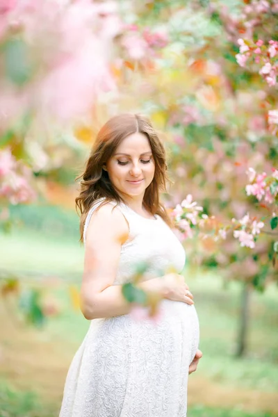 Pregnant Girl Apple Orchard Mother — Stock Photo, Image