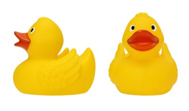 Sarı lastik ördek ile izole beyaz bir arka plan ayarla