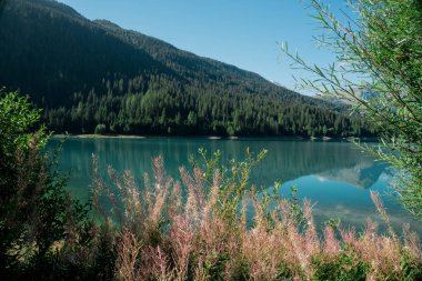 Zwischenstop am Hinterrhein See in der Schweiz