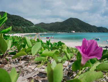 Tagesauflug auf die wunderschoene Insel Tokashiki in Okinawa, Japan clipart