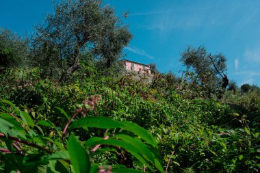 Eine 2 Stndige Wanderung in den Bergen von Portofino. Das Ziel war das Kloster San Fruttouso, dass nur zu Fu oder der Fhre zu erreichen ist. 