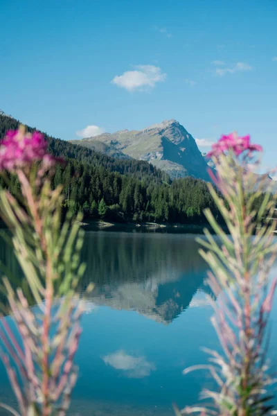 Kurzer Zwischenstopp Hinterrhein See Der Schweiz Die Spiegelung Der Berge — Stockfoto