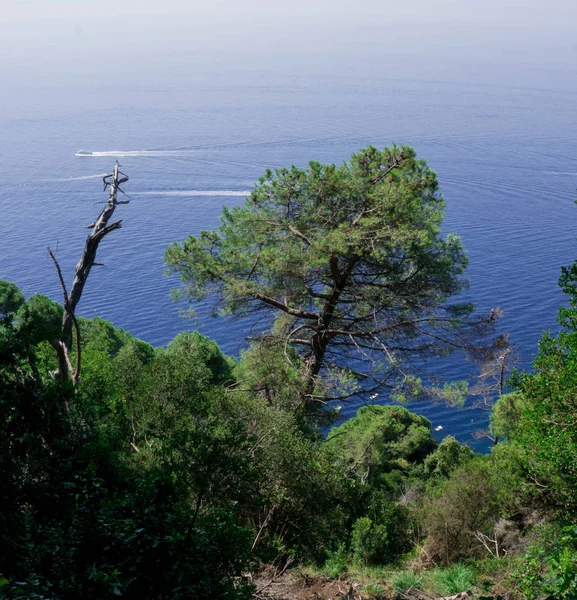 Eine Stndige Wanderung Den Bergen Von Portofino Das Ziel War — Stockfoto
