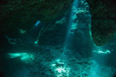 Cavetauchgang im Roten Meer. Einfach wunderschn.