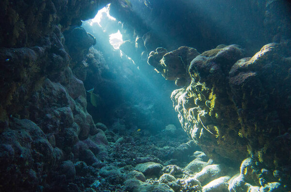 Cavetauchgang im Roten Meer. Einfach wunderschn.