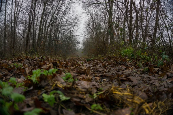 Wunderschoene Verschiedene Blickwinkel Dans Heimat Spessart — Photo