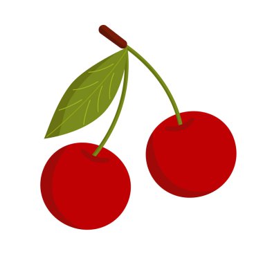 Saplı ve yapraklı kiraz meyveleri. Bir dal üzerinde olgun kiraz meyve