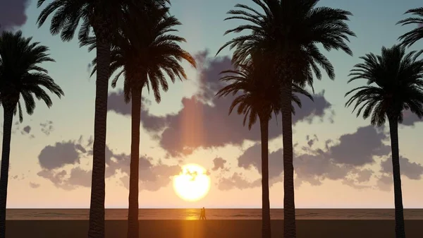 Gün Batımında Palmiye Ağaçları — Stok fotoğraf