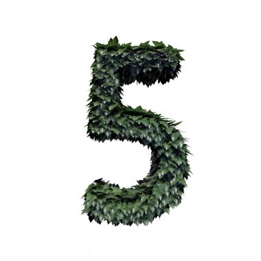 Yeşillik sayı 5, 3B oluşturma