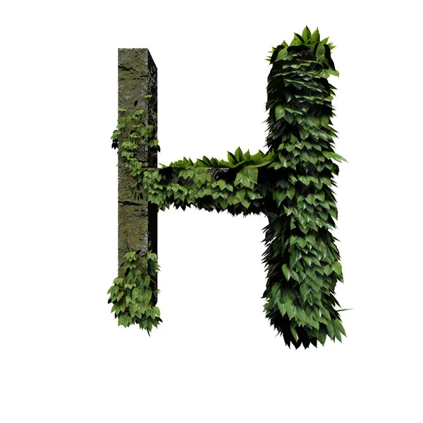 Stone Foliage Letter Rendering — Stock Photo, Image