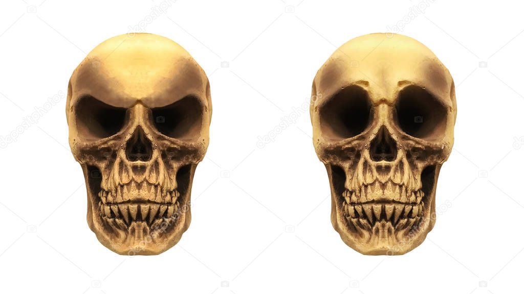 Skulls isolated on the white background