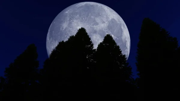 Полная Луна Над Лесом — стоковое фото