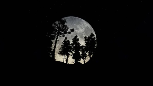 Floresta Noite Com Grande Lua Cheia — Fotografia de Stock