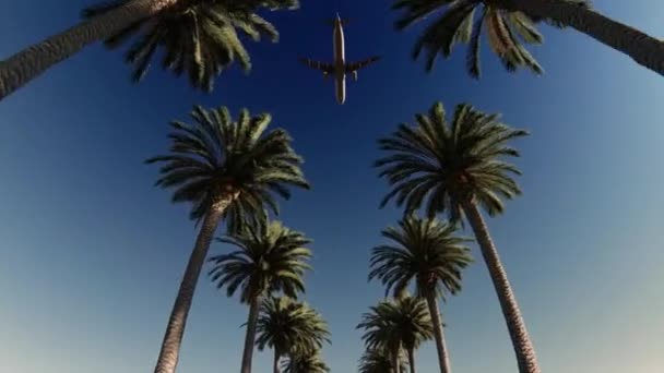 Vue Des Palmiers Ciel Des Avions Volant — Video