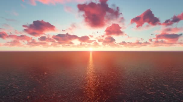 Survoler la mer au coucher du soleil 