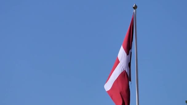 Gerçek Danimarka Bayrağı Rüzgarda Dalgalanıyor — Stok video