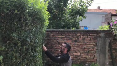 Çalı Çalıları Kesiyor