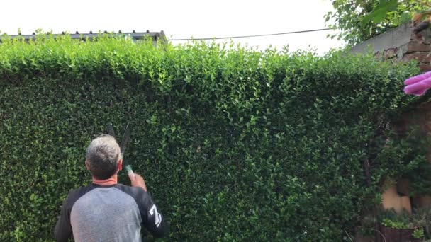 Memangkas Semak Semak Semak Pemotongan Hedge — Stok Video