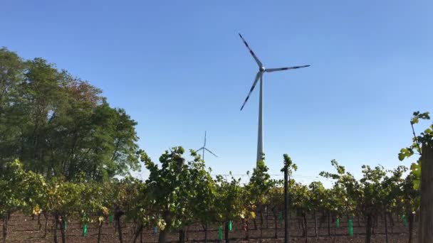 Las Palas Giratorias Torre Aerogeneradores Cerca Granja Viñedos Verdes Producen — Vídeos de Stock