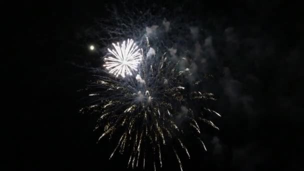 Festa Festeggiata Dai Fuochi Artificio Due Colpi Fuochi Artificio Multicolori — Video Stock