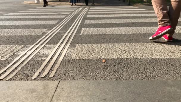 Fußgänger Überqueren Straße Durch Zebrastreifen Der Stadt Menschen Überqueren Straße — Stockvideo