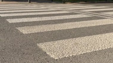 City - zebra geçiş tarafından arabalar ile yol trafik. Araç yakınındaki yaya geçidi, araç Caddesi üzerinde. Şehirde taşıma ile Panda geçiş. Arabalar için yeşil ışık sırasında crossover görüntüleyin. Jantlar karayolu üzerinde