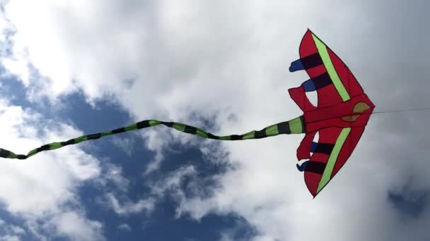 Multicoloured Tailed Kite Flying Steady Wind Blue Sky White Clouds — Stock Video