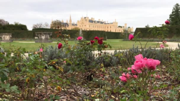 Bloemen Franse Formele Tuin Van Chateau Lednice Zuid Moravië Tsjechië — Stockvideo