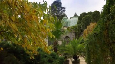 Sera sonbahar, South Moravia, Çek Cumhuriyeti'nde farklı bakış açılarından Lednice kalesinde. Lednice-Valtice kültürel peyzaj orangery birkaç çekim. Chateau Lednice Güz, Kış Bahçesi