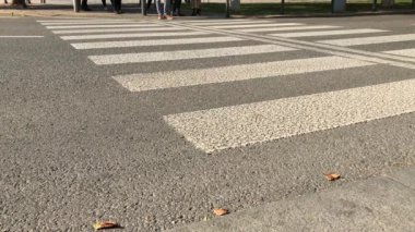 Yayalar yolu üzerinden güneşli sonbahar günü şehir geçitte zebra tarafından çapraz. Yaya yaya yeşil ışık yolda engel olmak. İnsanlar sokak yaya geçidi adım bir yol boyunca. Kalabalık panda geçiş unrecognisable vatandaşları ile