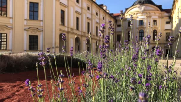 Vista Frontale Del Castello Austerlitz Lavanda Autunno Mattina Sole Vista — Video Stock