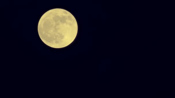 Der Mond Versank Dunklen Wolken Schwarzen Nachthimmel Vollmond Schwimmt Langsam — Stockvideo