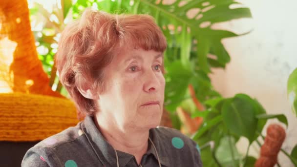 Pozorná Starší Žena Která Sedí Pracovišti Čte Displeje Slunečného Dne — Stock video