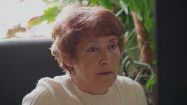 Concentrated Senior Woman Looking Screen Browsing Internet Sitting Workplace Greens — Stock Video