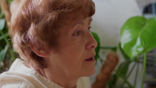 Concentrated Senior Woman Looking Screen Browsing Internet Sitting Workplace Greens — Stock Video