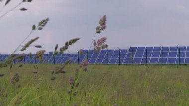 Hücre panelleri ile Fotovoltaik güç istasyonu rüzgarlı bir günde çim ve başak alana karşı yeşil enerji üreten. Güneş parkı. Elektrik ve santral üreten Pv modüllerinden gelen eko güç. Yenilenebilir enerji için güneş pili. Alternatif elektrik kaynağı 